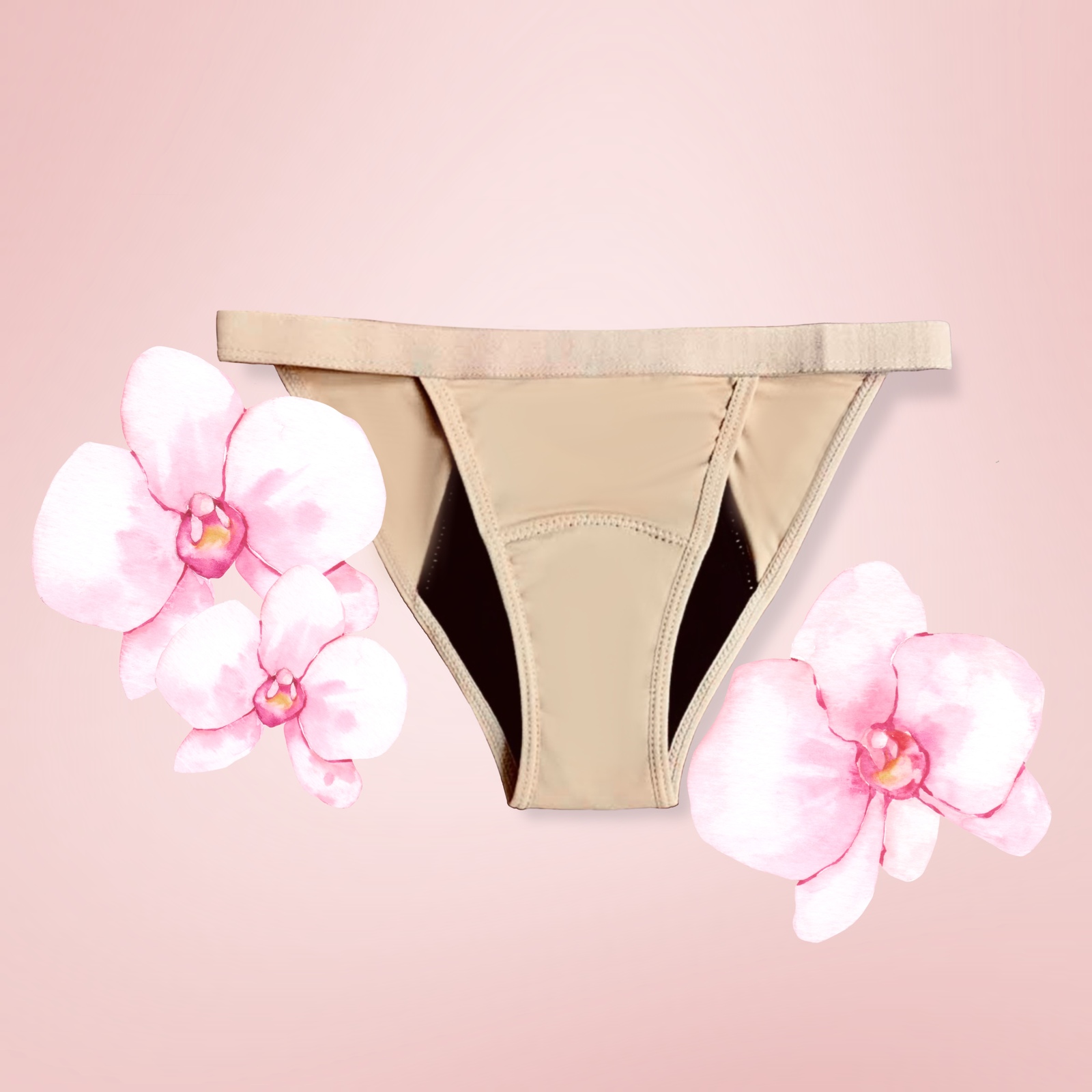 Period Proof Underwear Display Set