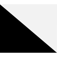 Black & White (Bloch)