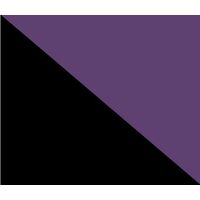 Black/ Purple (Studio 7)