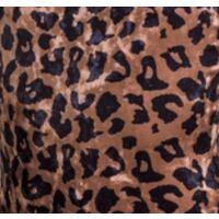 Cheetah (Studio 7)