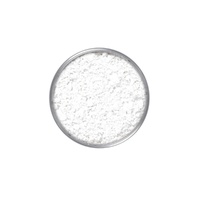 Energetiks Kryolan Translucent Powder;