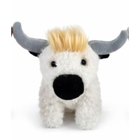 Angus the Highland Cow; White