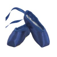 Energetiks Souvenir Pointe Shoes; Blue
