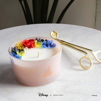 Disney Candle Belle