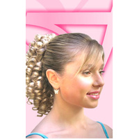 Dancers Wiglet