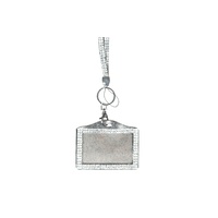 Mad Ally Bling Lanyard- Silver
