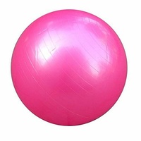 Mad Ally 60cm Exercise Ball