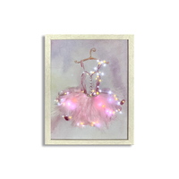 Mad Ally Light Up Frame; Tutu