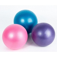 Mad Ally 25cm Mini Exercise Ball; Pink