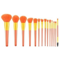 Make Up Brush 10 Piece - Orange and Yellow